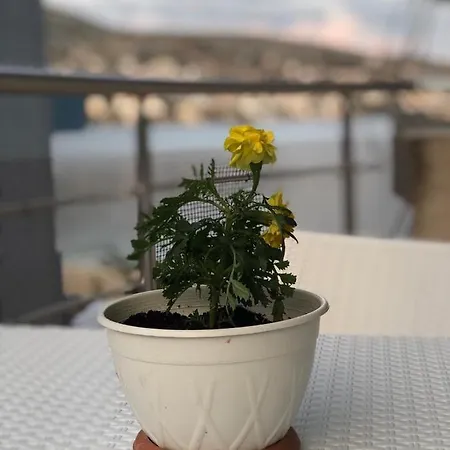 Mary's Apartment *